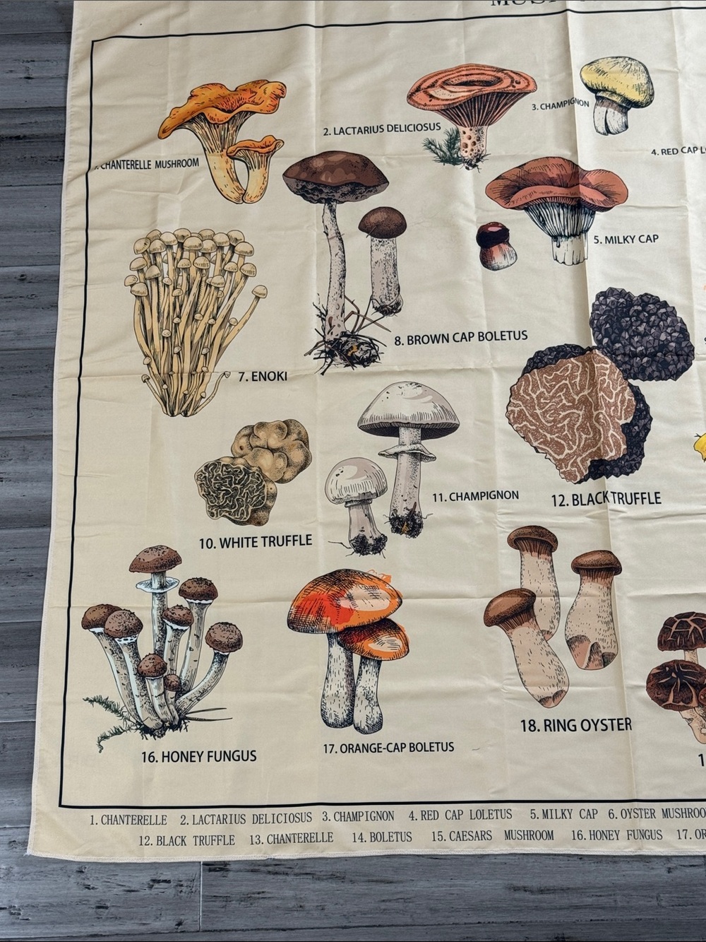 MUSHROOM BOTANICAL FABRIC WALL HANGING 58.5” x 50” COTTAGECORE FUNGI - Picture 5 of 11